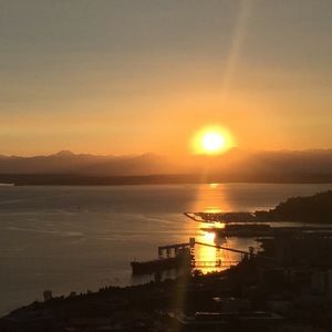 Meet your Posher, Marley